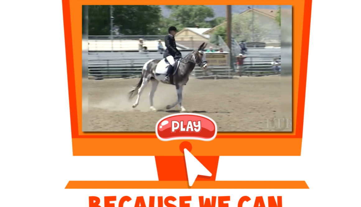 Jasper-Website-Video-Icon_BECAUSE-WE-CAN