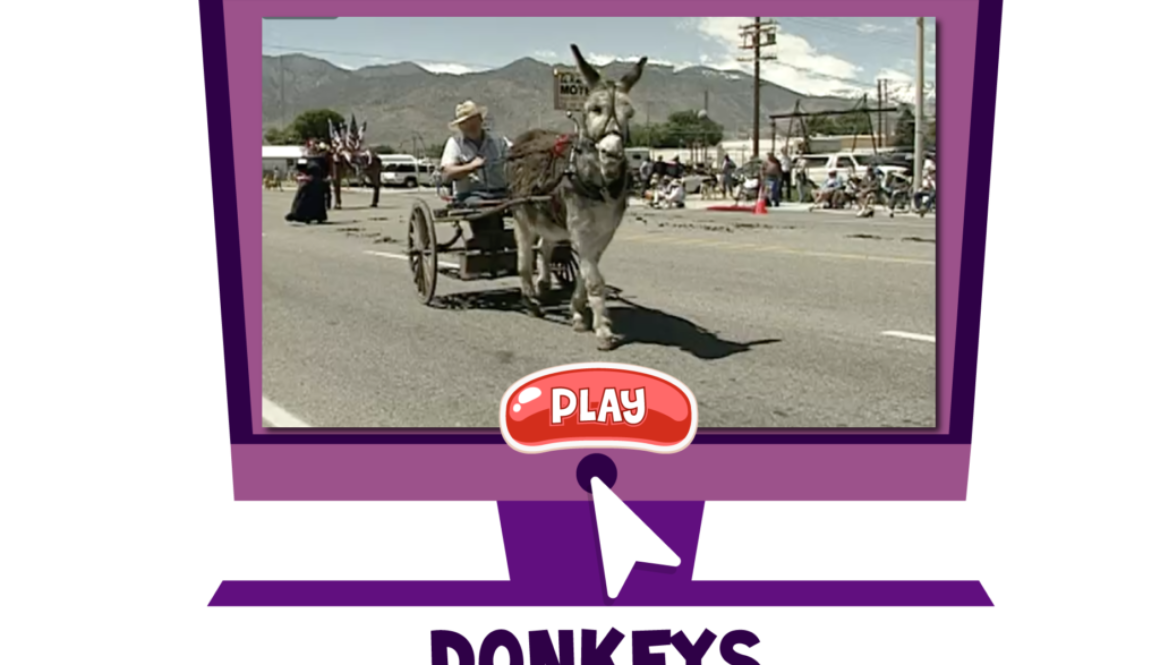 Jasper-Website-Video-Icon_DONKEYS