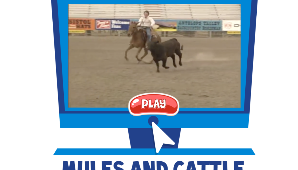 Jasper-Website-Video-Icon_MULES-_-CATTLE