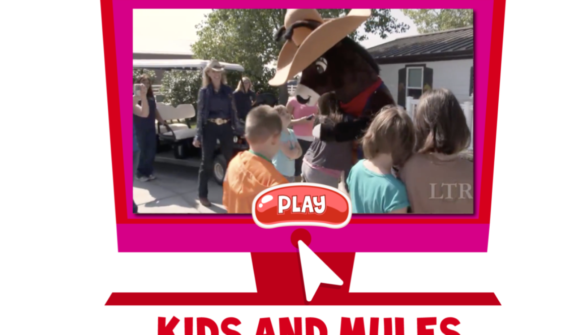 KidsandMules